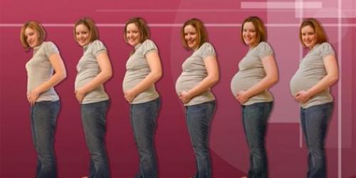 مراحل الحمل بالاسبوع ومراحل نمو الجنين