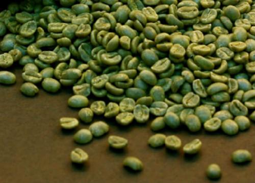 ما هي فوائد القهوة الخضراء؟