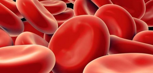 طرق علاج فقر الدم