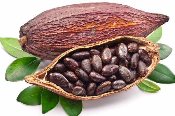 فوائد الكاكاو للصحة و الجلد و البشرة